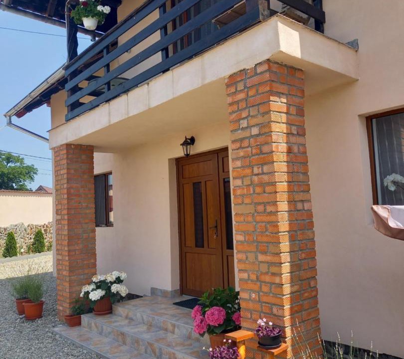 Photo of Buildings in Cartisoara