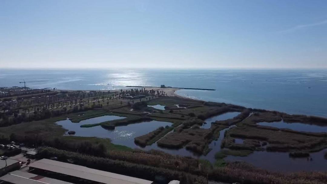 Photo of Others in Ladispoli