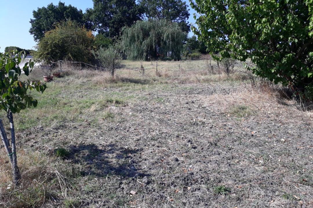 Photo of Others in Pietrelcina