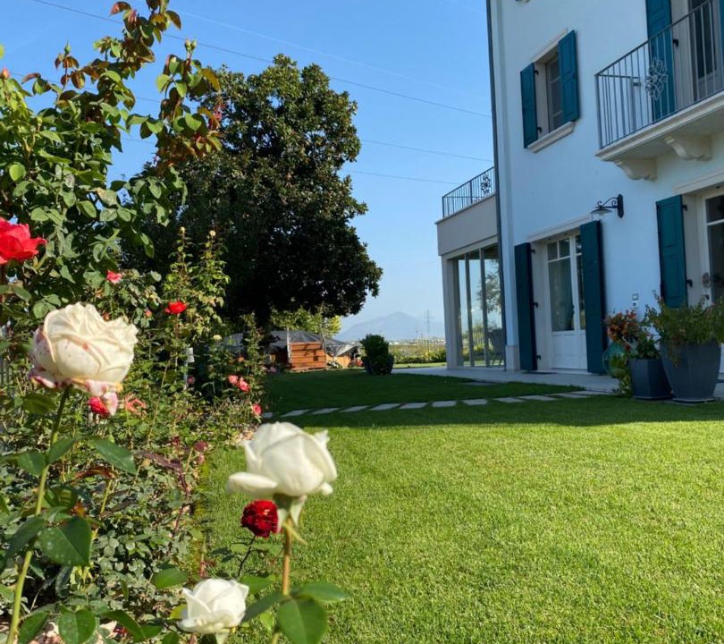 Photo of Others in Castelnuovo del Garda