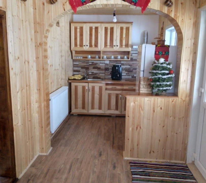 Photo of Kitchen in Garda de Sus