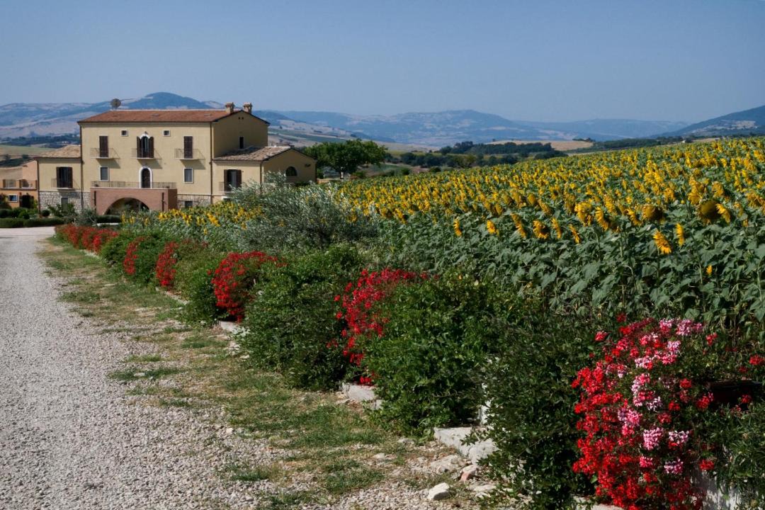 Photo of Others in Montecilfone