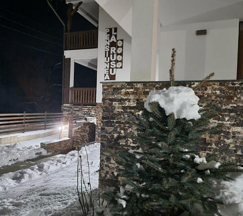 Photo of Others in Rodna