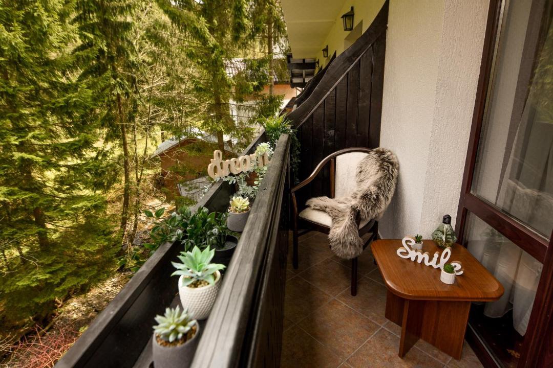 Photo of Patio Balcony in Predeal