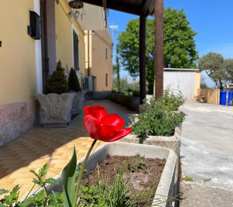 Photo of Patio Balcony in Lanciano