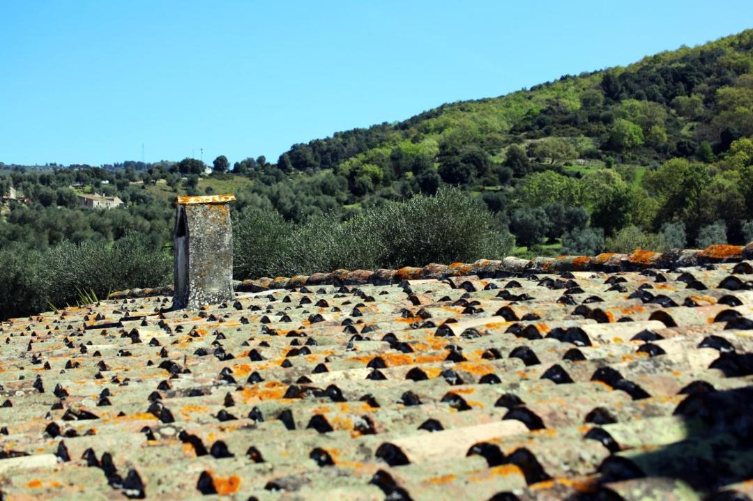 Photo of Others in Ischitella