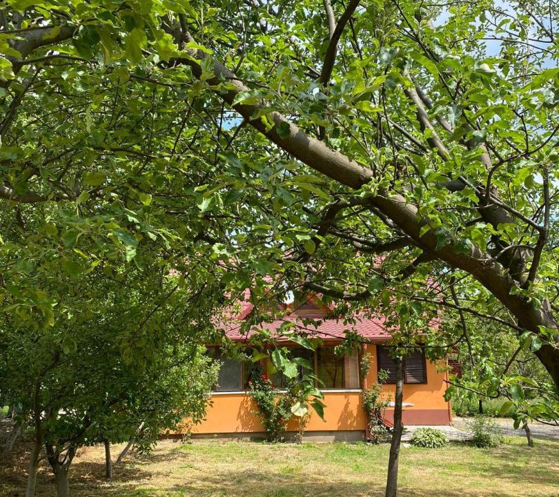 Photo of Outdoor in Recea