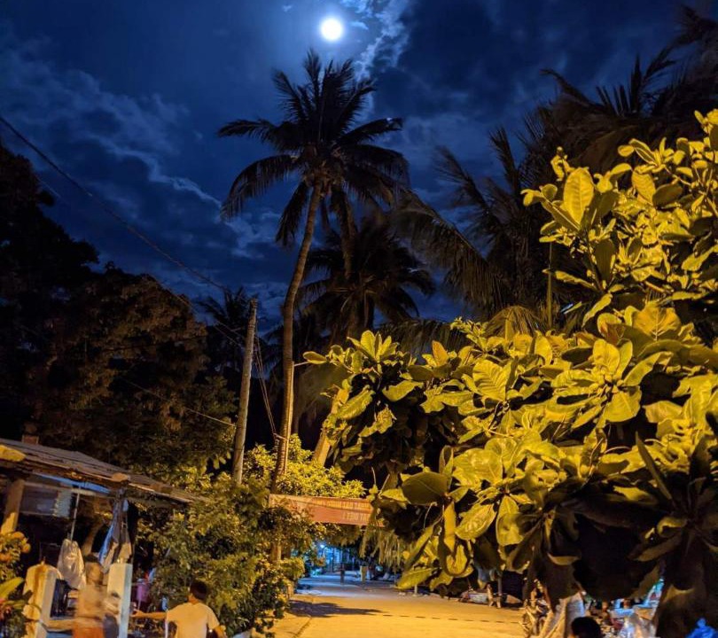Photo of Others in Cham Island