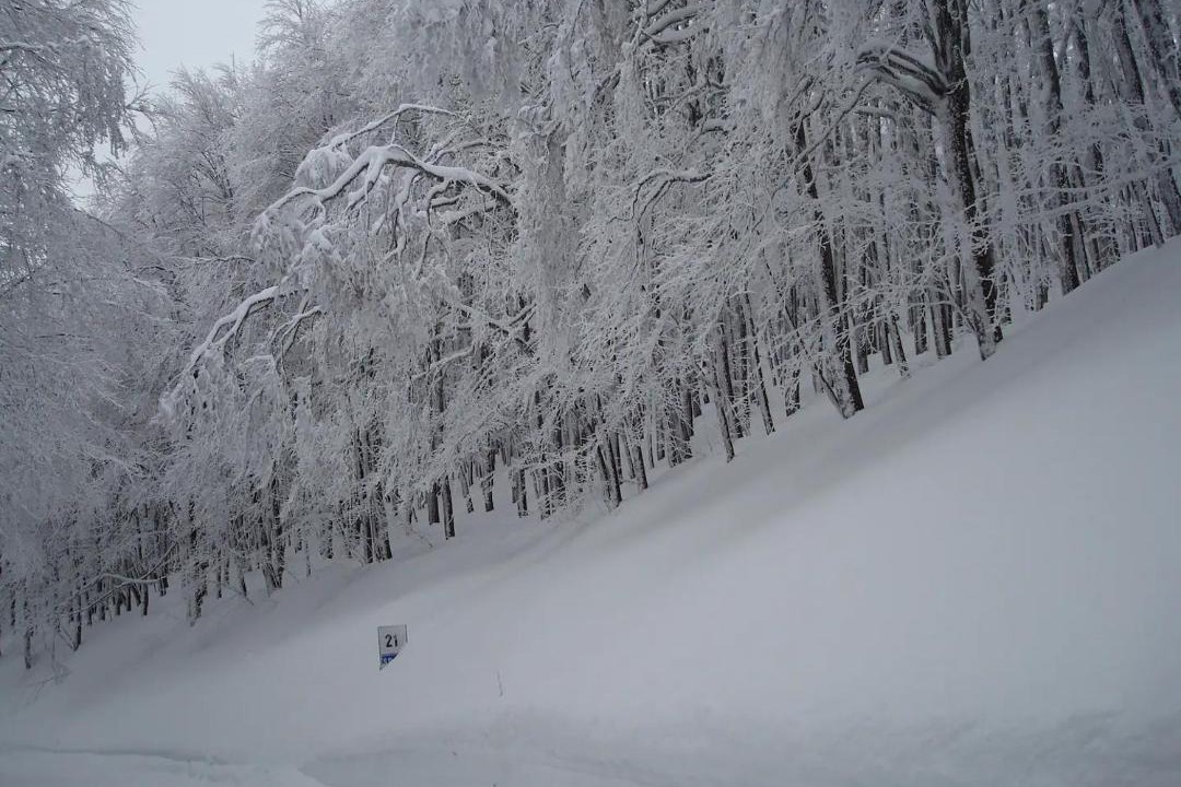 Photo of Others in Micigliano