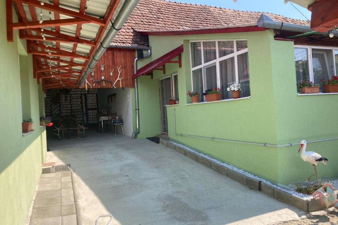 Photo of Buildings in Albesti