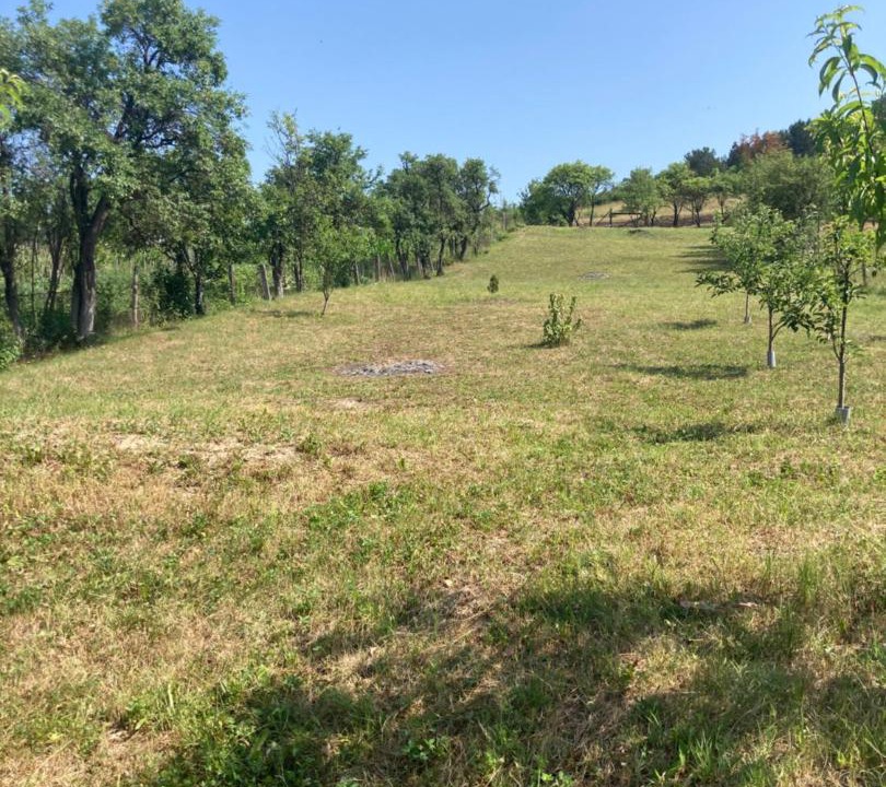 Photo of Outdoor in Albesti