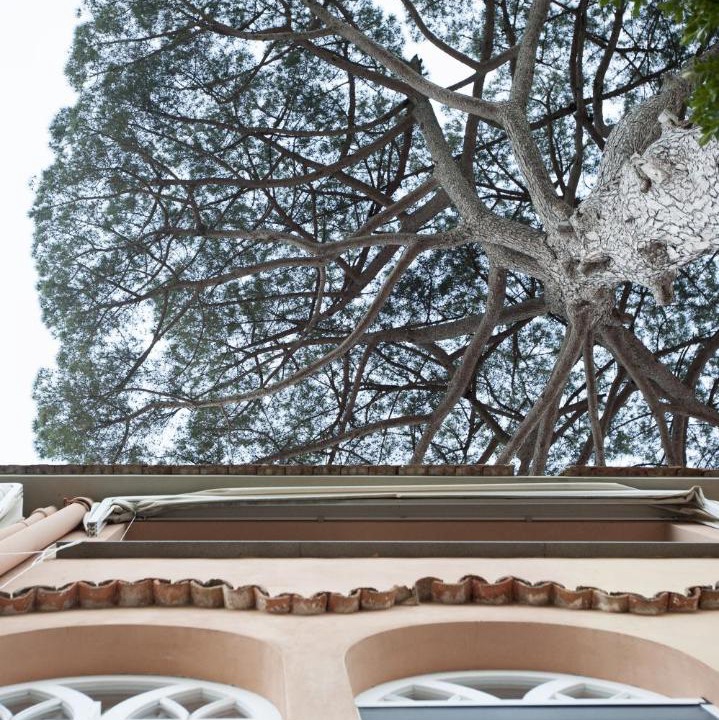 Photo of Others in Ravello