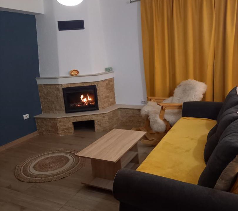 Photo of Livingroom in Cartisoara