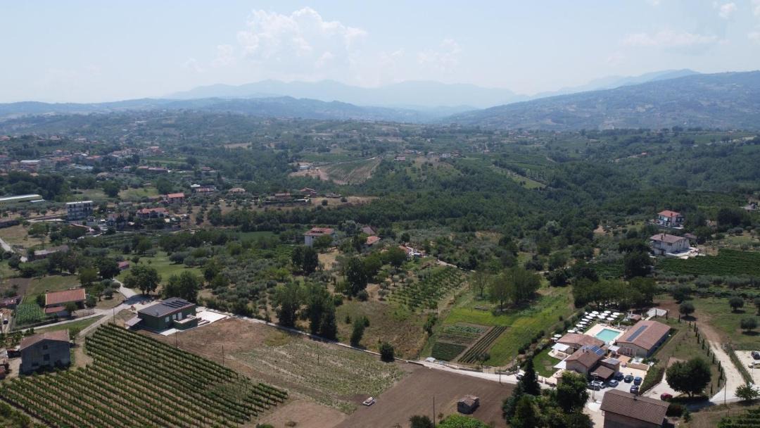 Photo of Others in Paternopoli