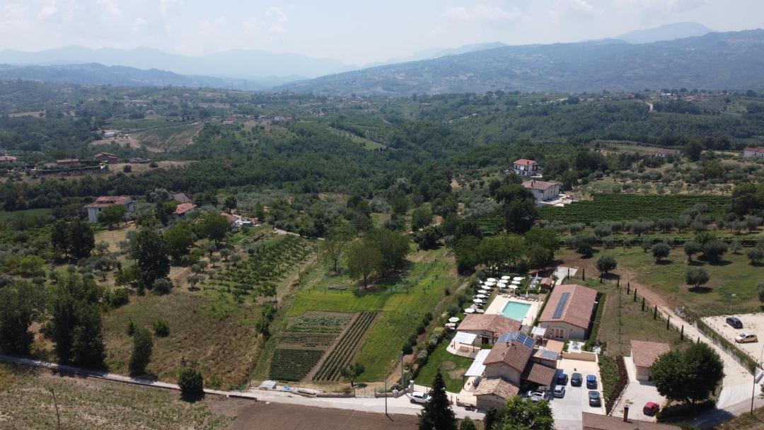 Photo of Others in Paternopoli