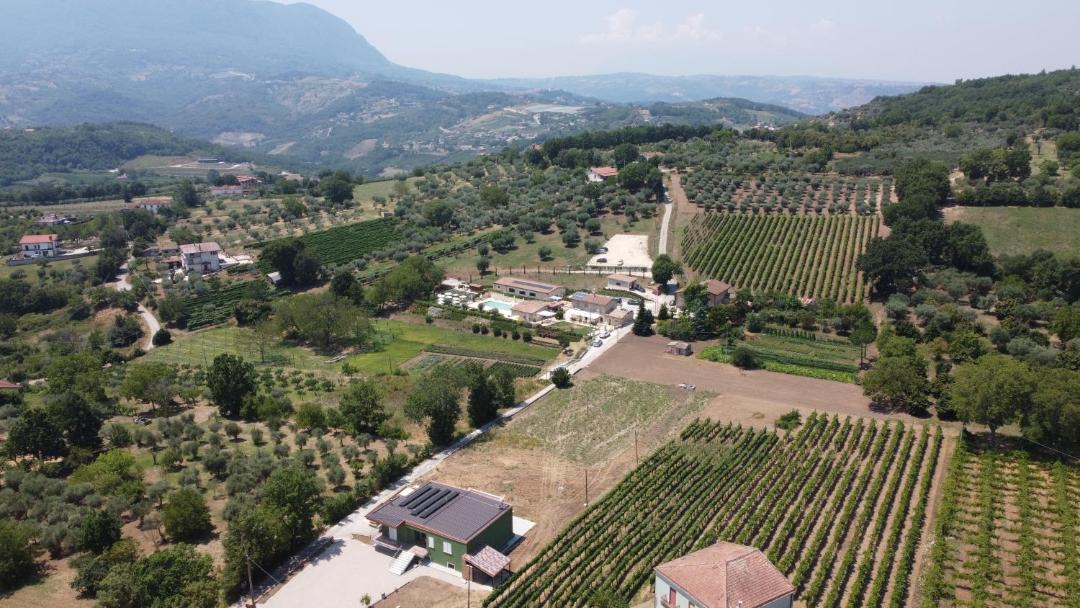 Photo of Others in Paternopoli