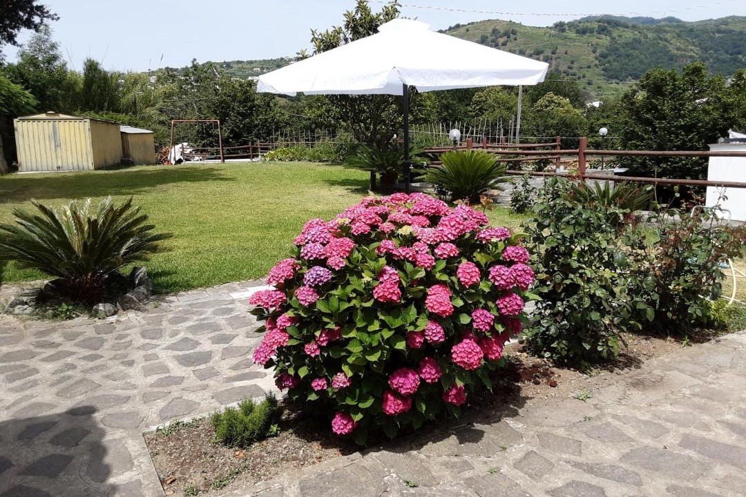 Photo of Others in Barano d'Ischia
