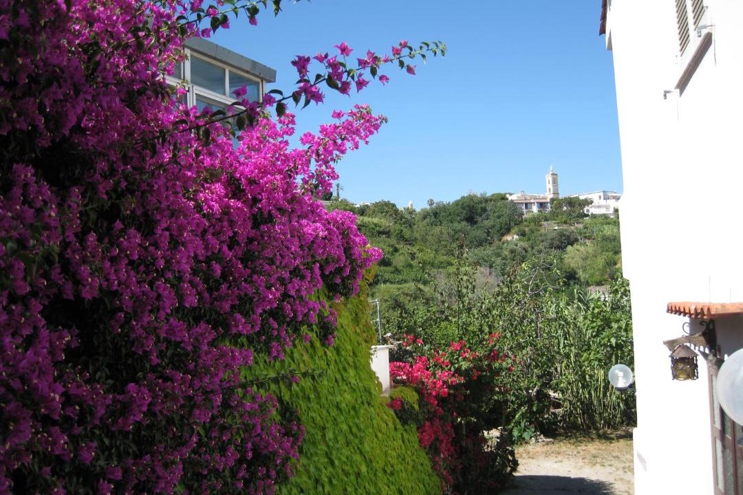 Photo of Others in Barano d'Ischia