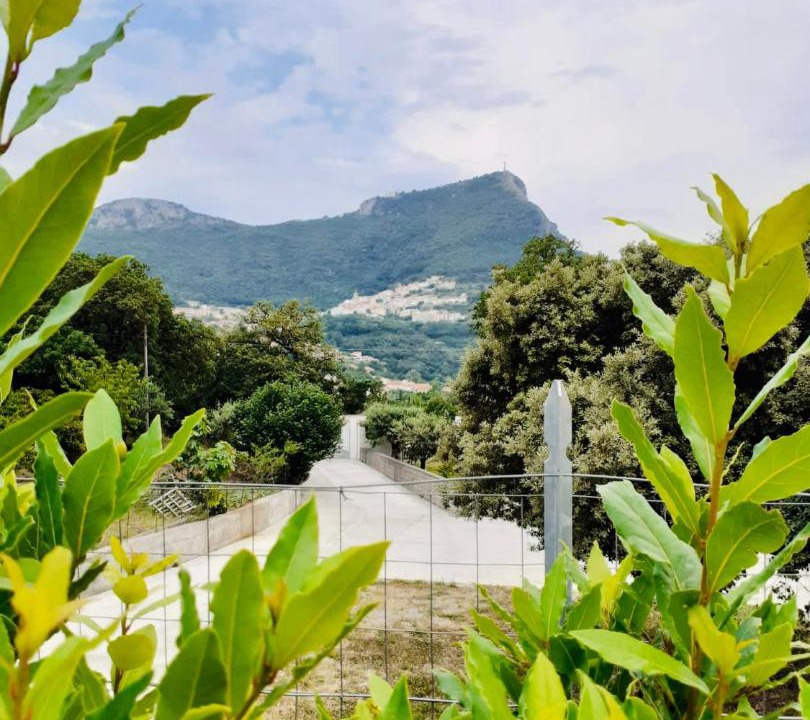 Photo of Others in Maratea