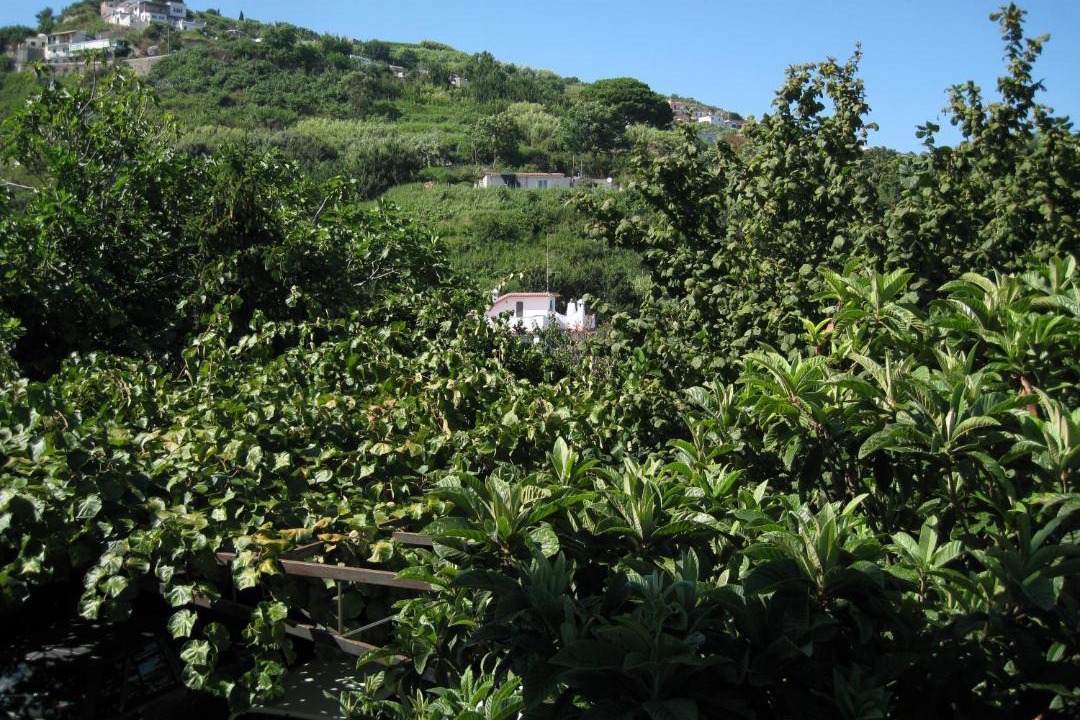 Photo of Outdoor in Barano d'Ischia