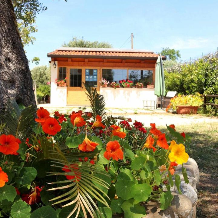 Photo of Others in Palinuro