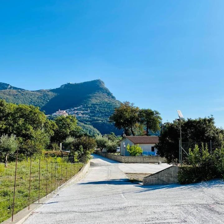 Photo of Others in Maratea