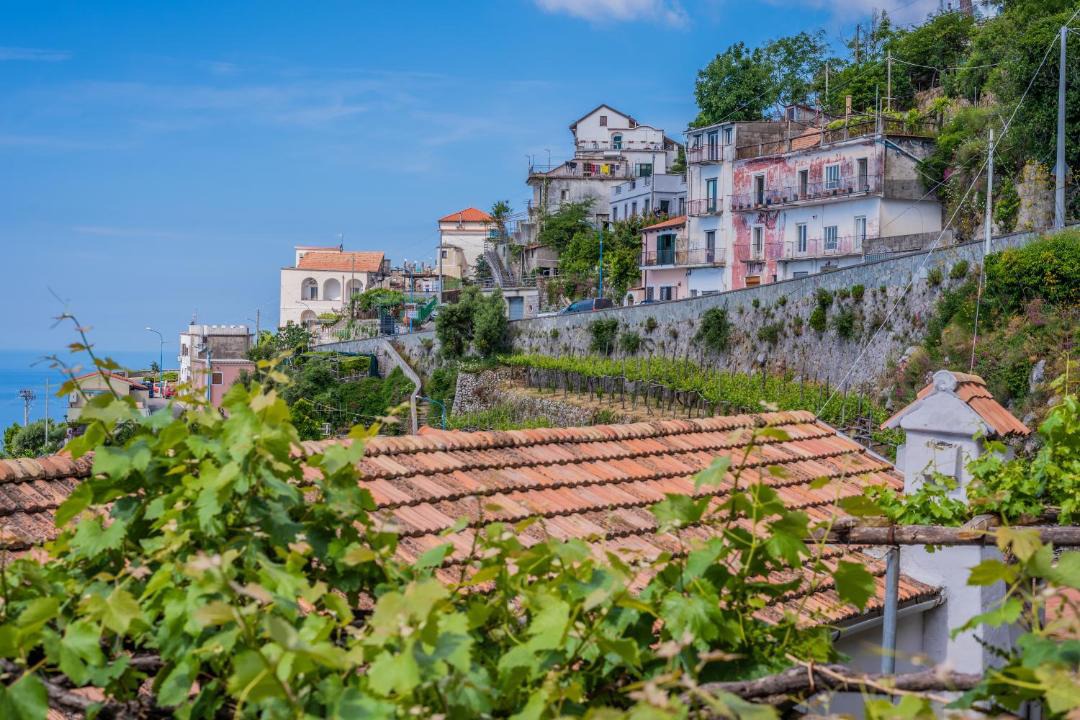 Photo of Others in San Michele
