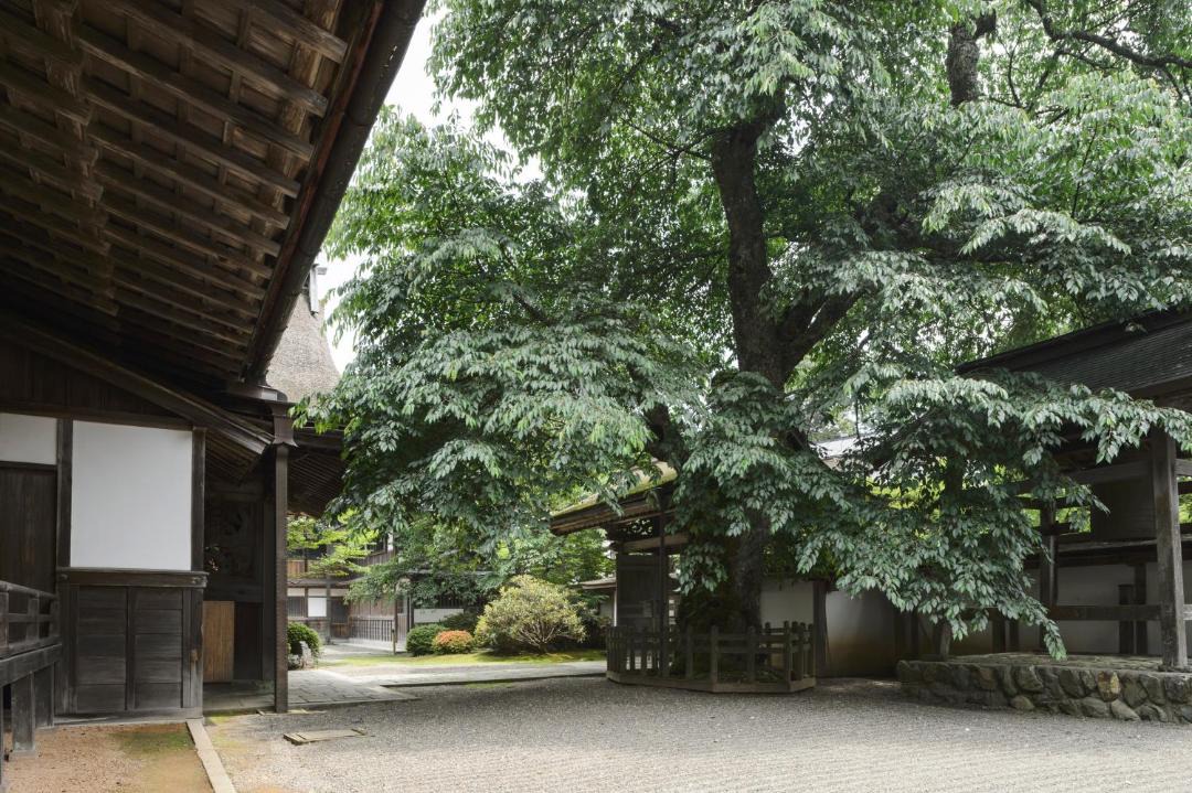 Photo of Others in Koyasan