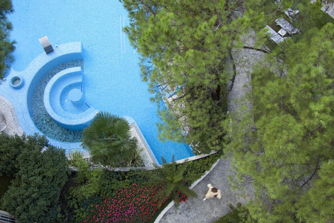 Photo of Others in Abano Terme