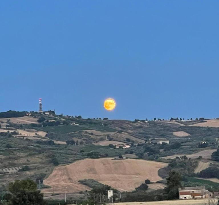 Photo of Others in Scerni