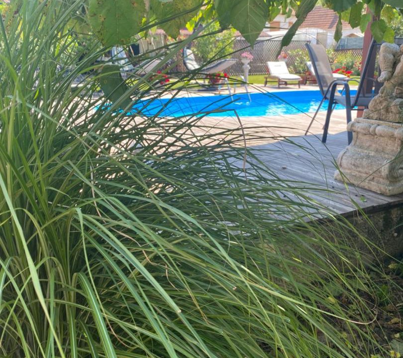 Photo of Outdoor in Simeria