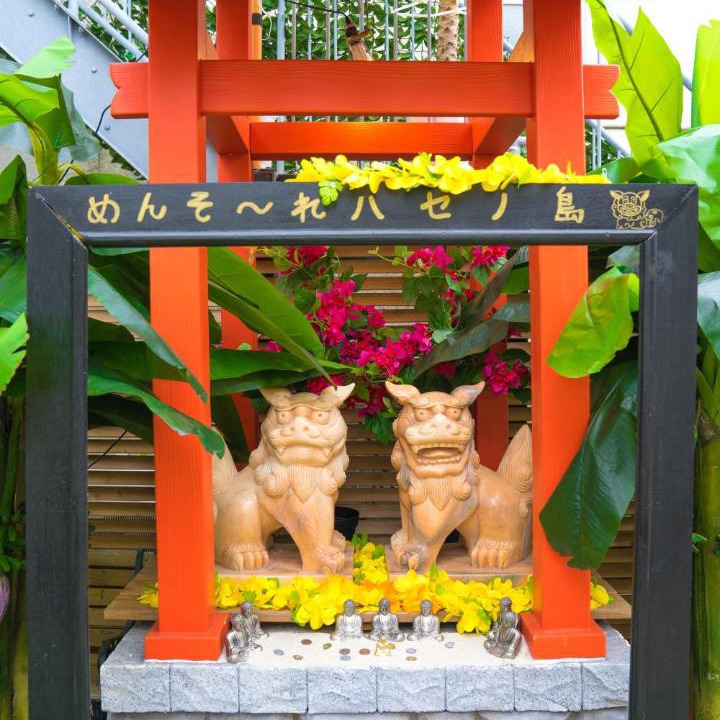 Photo of Others in Kamakura