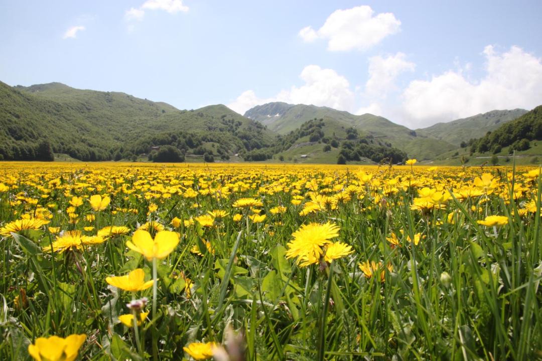 Photo of Others in Campitello Matese