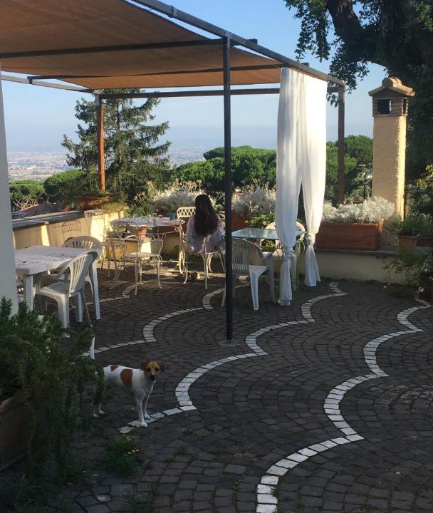 Photo of Others in Grottaferrata