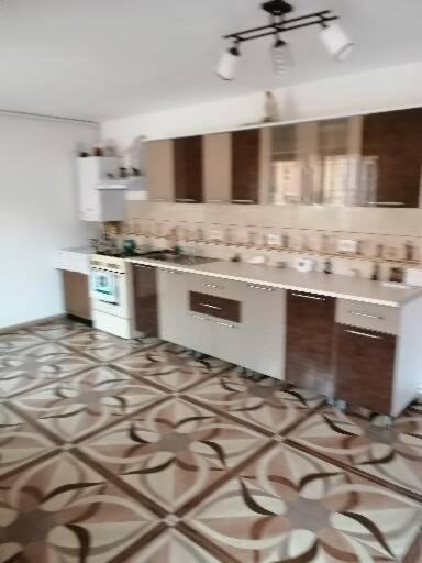 Photo of Kitchen in Sebes