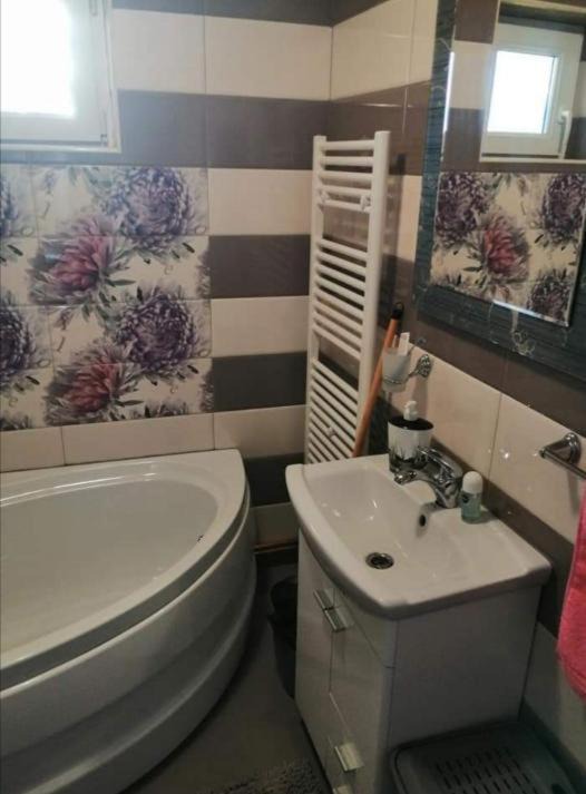 Photo of Bathroom in Sebes