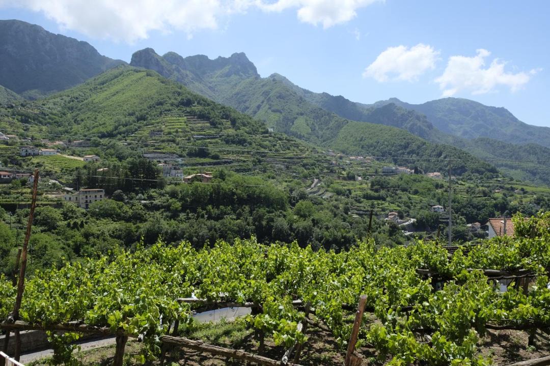 Photo of Others in Tramonti