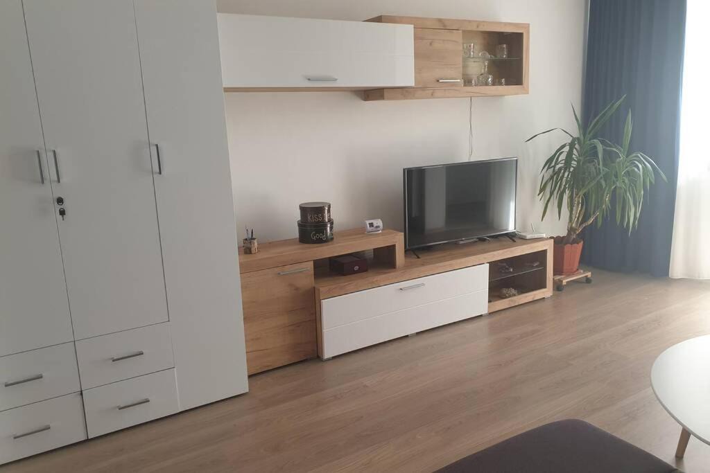 Photo of Livingroom in Baia Mare