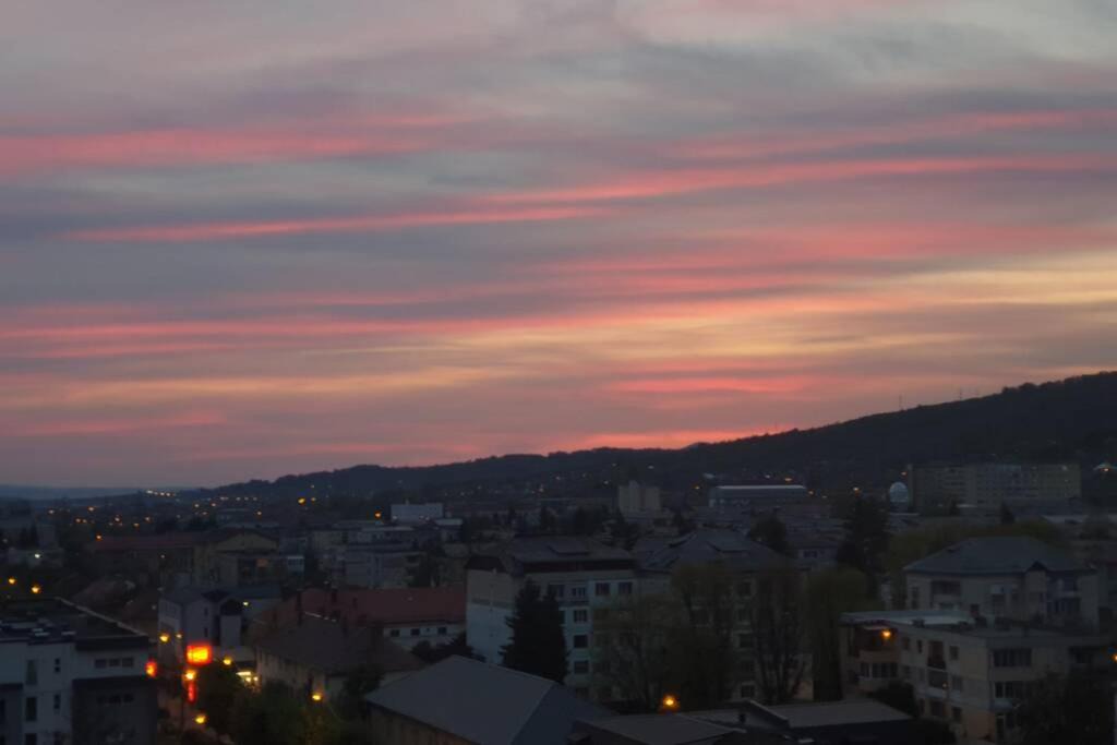Photo of Others in Baia Mare