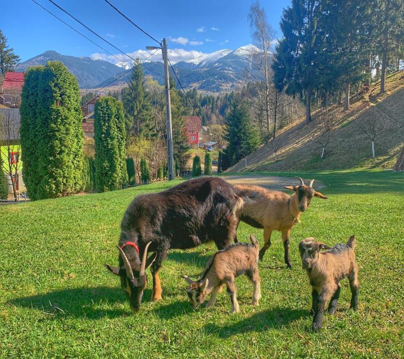 Photo of Outdoor in Borsa