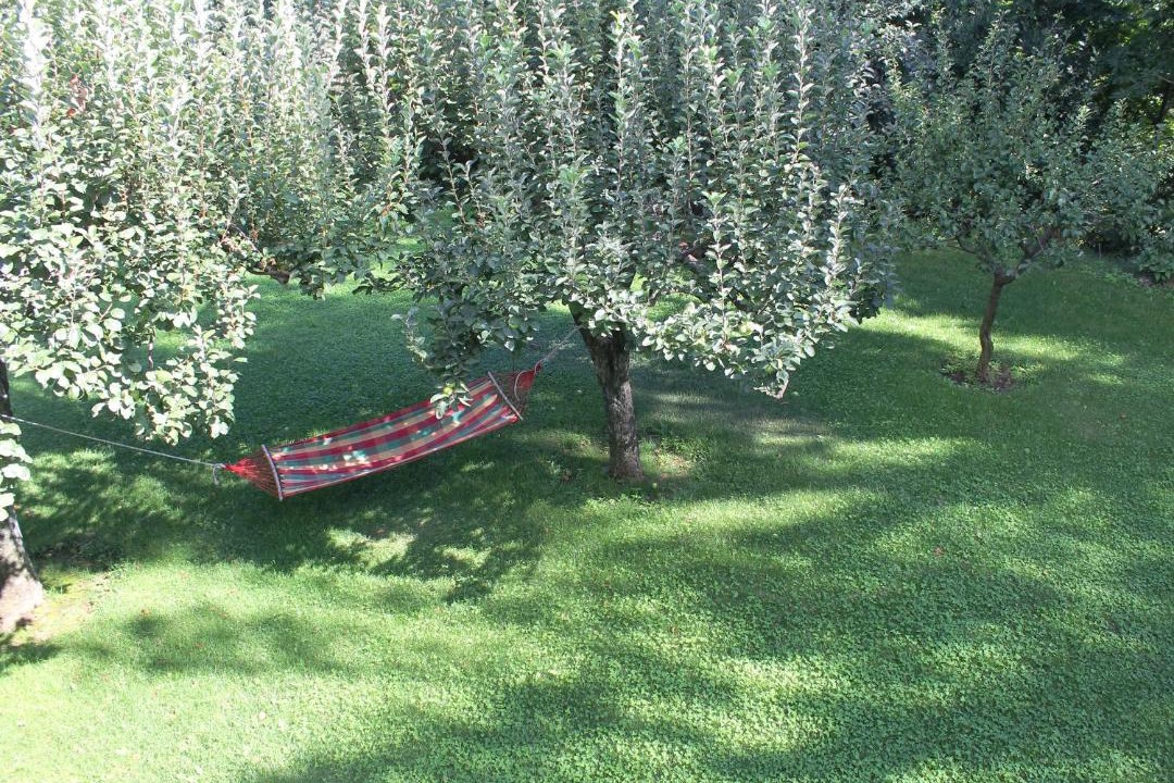 Photo of Others in Bomerano