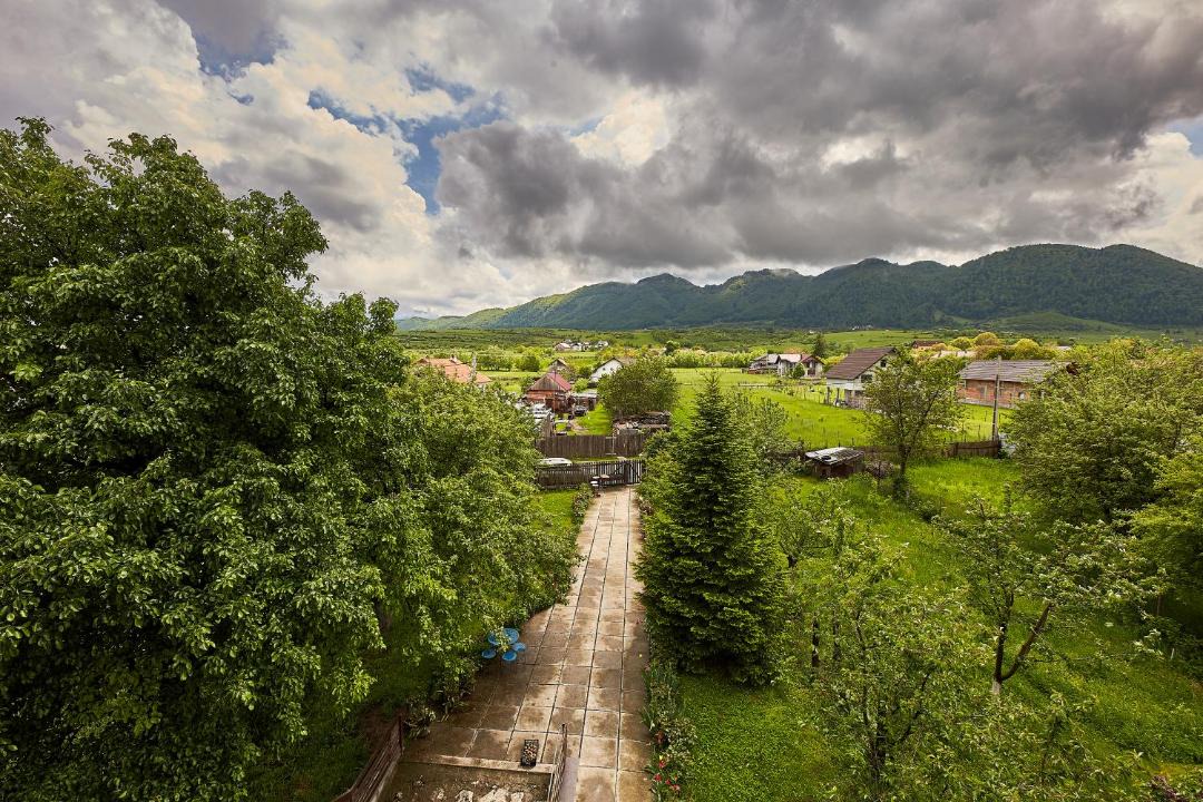 Photo of Outdoor in Zarnesti