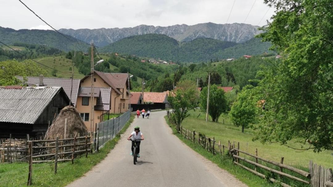 Photo of Others in Zarnesti