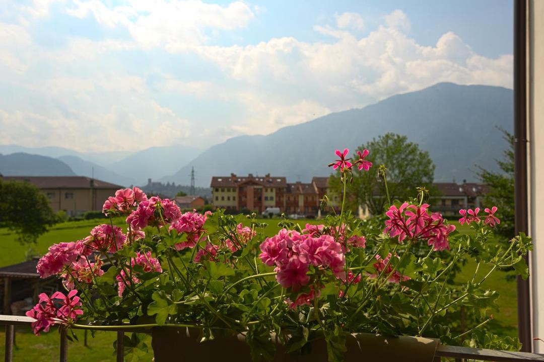 Photo of Others in Feltre