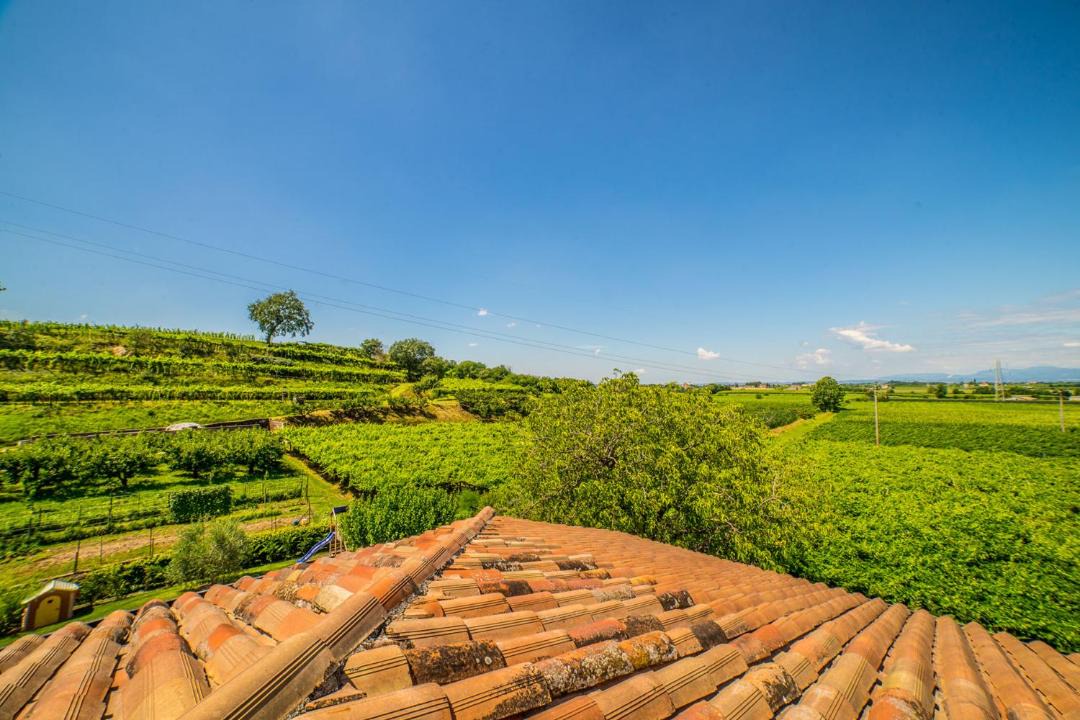 Photo of Others in Castelnuovo del Garda