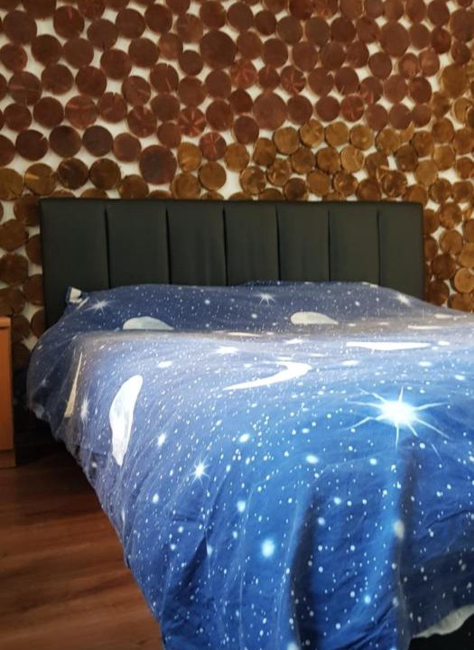 Photo of Bedroom in Lupeni