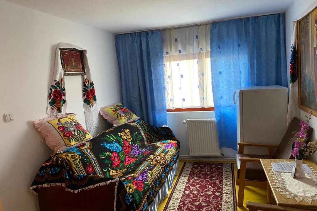 Photo of Livingroom in Viseu de Sus