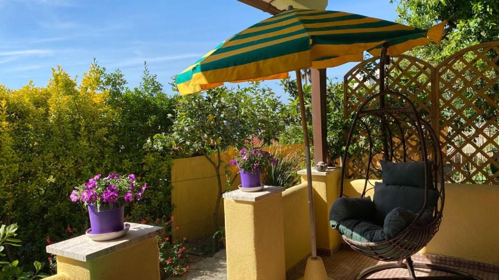 Photo of Patio Balcony in Casamicciola Terme