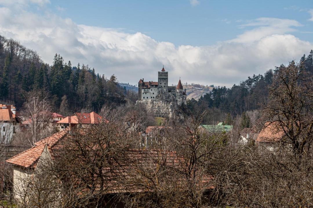 Photo of Buildings in Bran
