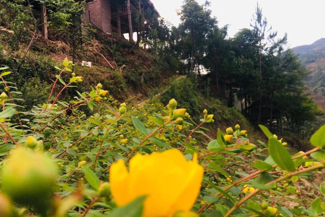 Photo of Others in Mu Cang Chai